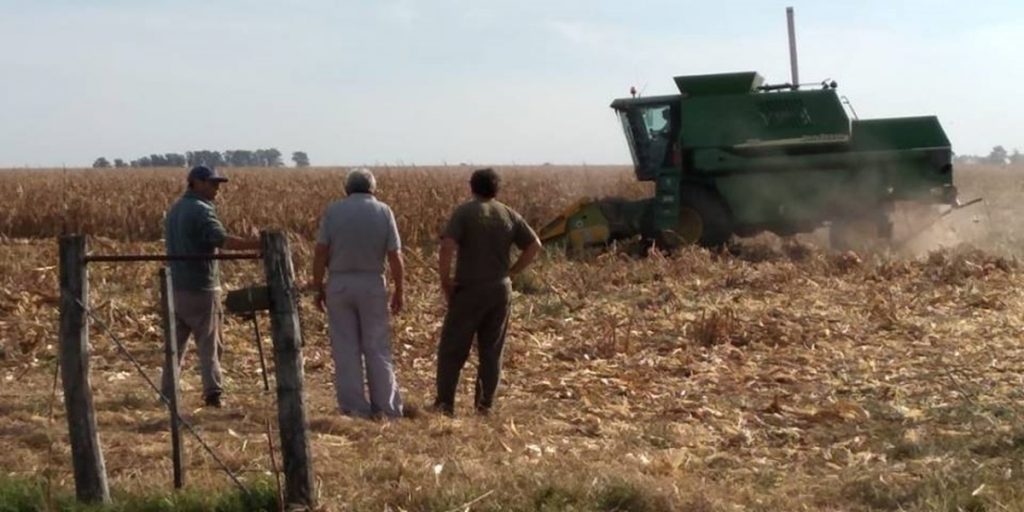 Malestar en el gremio de peones rurales con la Mesa de Enlace: "Tienen Ganancias récord pero quieren trabajadores pobres"