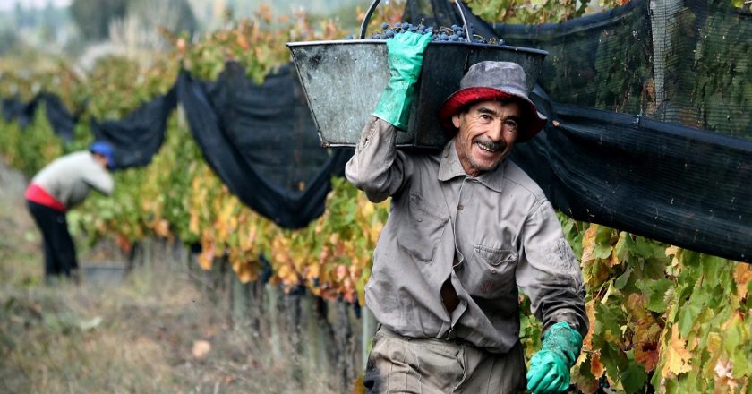 En medio de conflictos por aumento de salarios, el gremio de vitivinícolas de Cafayate pasó a manos de una lista de izquierda