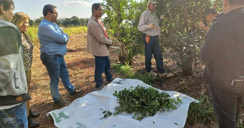 El Renatre aumenta en un 48% la prestación por desempleo para los trabajadores rurales