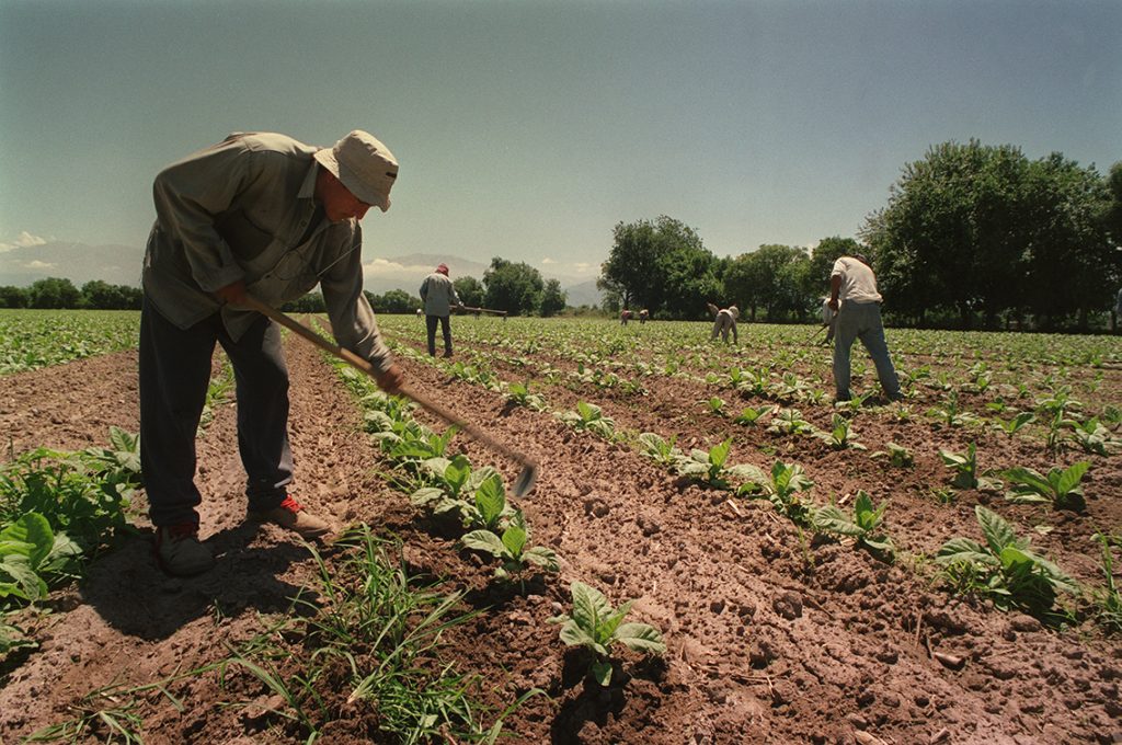 El Renatre aumenta en un 48% la prestación por desempleo para los trabajadores rurales