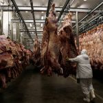Industria de la carne: Impulsan un plan a 10 años para generar más de 500 mil puestos de trabajo y sumar divisas como política de Estado