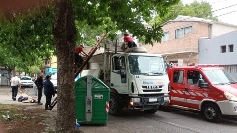 Detuvieron a dos recolectores de residuos por no detectar que una persona dormía en un contenedor y sus compañeros lanzaron un paro en el centro y macrocentro de Rosario