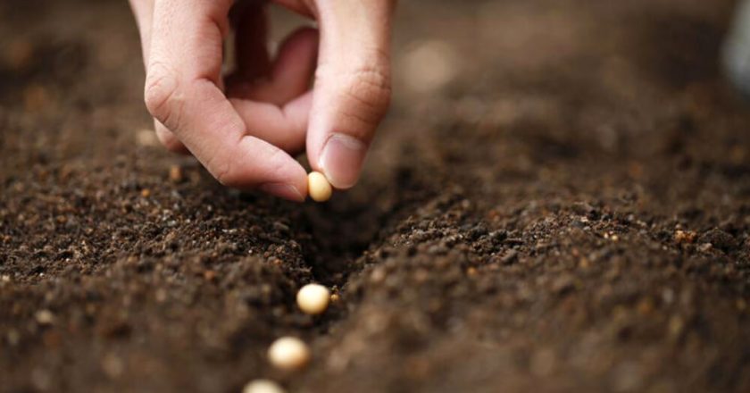 La UATRE firmó un aumento del 75% cuatrimestral para la paritaria de semilleros