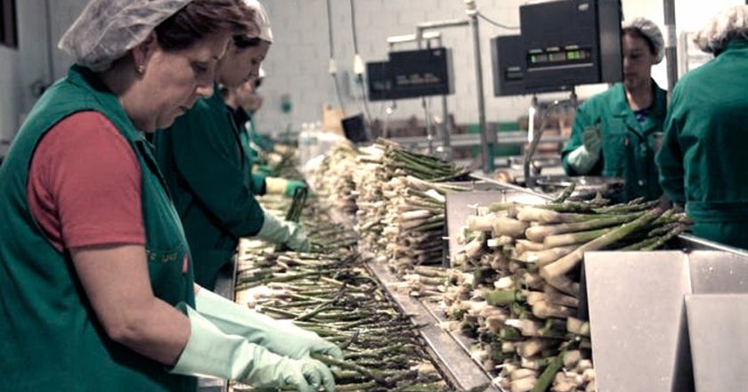 Rechazo del mercado de trabajo a las jóvenes bonaerenses: menos trabajos y peor pagos