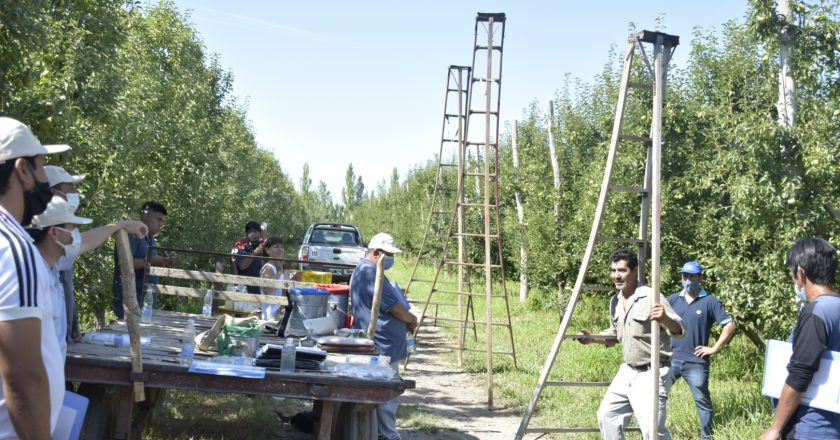 #AHORA Aumenta entre un 10% y un 20% la prestación por desempleo para los trabajadores rurales de la Patagonia