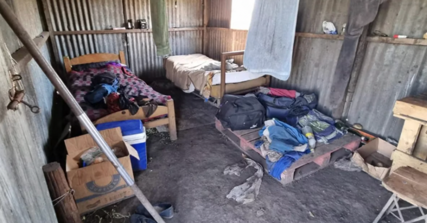 Detectaron 17 casos de explotación laboral en campos de la Provincia de Buenos Aires
