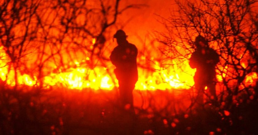 Brigadistas forestales de Santa Cruz continúan con paro por un reclamo salarial