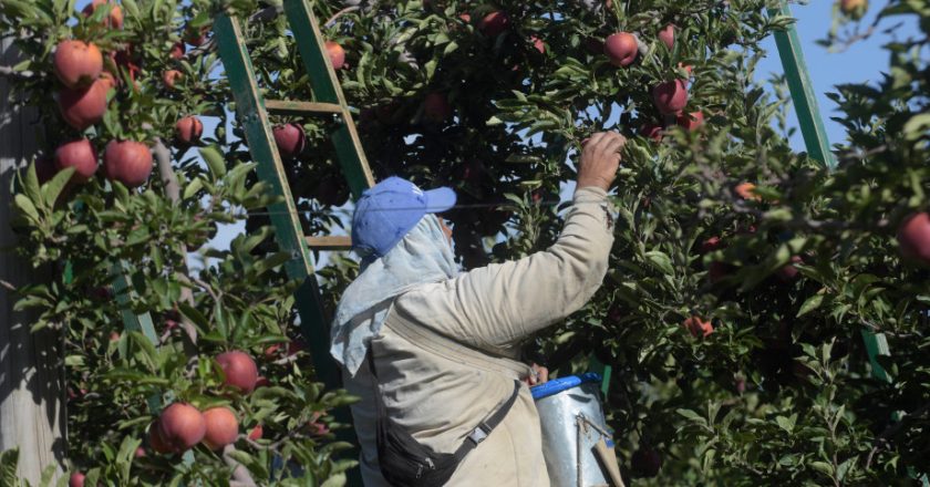 #Ahora La Uatre logró un incremento salarial de hasta el 100,5% en el sector frutícola