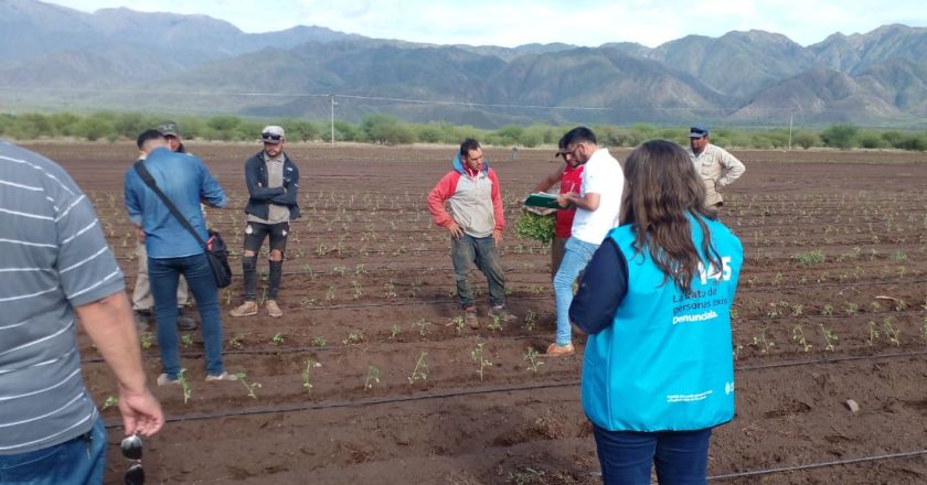 Entre 2020 y 2022, unas 3.400 víctimas de redes de trabajo esclavo fueron rescatadas en la Argentina