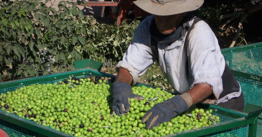 La UATRE acordó un 32% de aumento para el trabajo rural a partir del salario de febrero