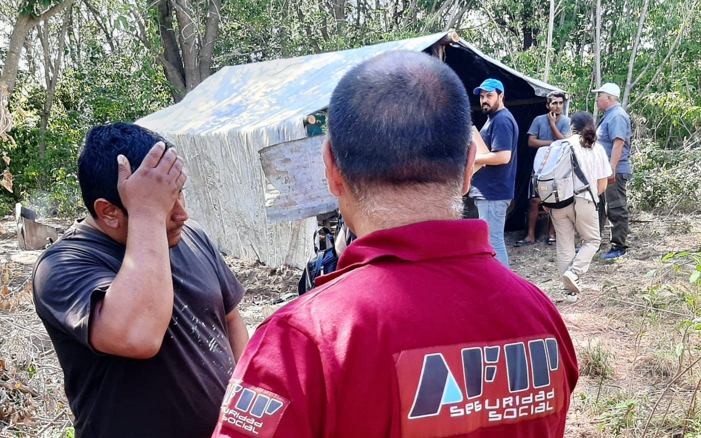 La AFIP denunció otro caso de trata y explotación laboral en una empresa forestal de Junín