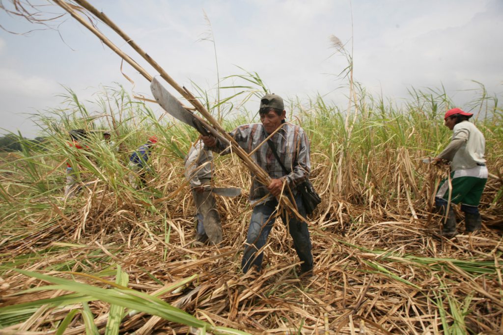 Impulsan un régimen previsional especial para los trabajadores del sector azucarero
