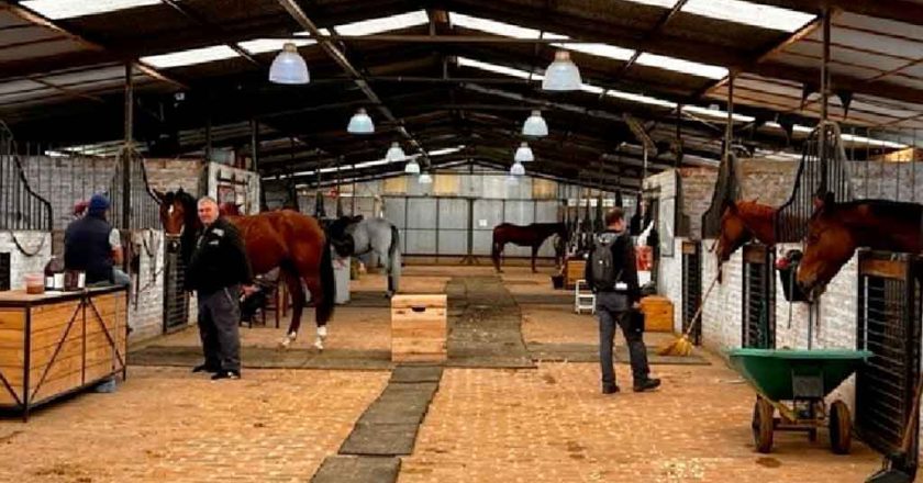 Todo barrani: AFIP detectó 100% de irregularidad laboral en campo de entrenamiento de caballos