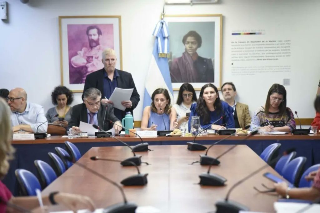 En un plenario de Diputados, se inició el debate sobre las tareas de cuidado y la modificación de los regímenes de licencias parentales