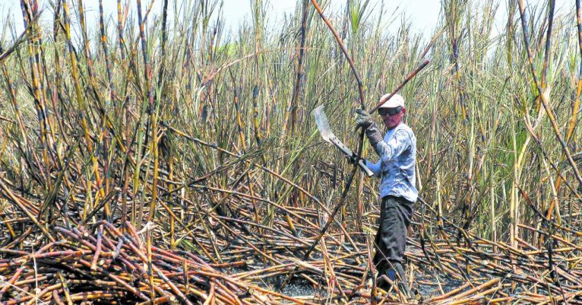 Los azucareros van por un salario básico que alcance los 250 mil pesos en los ingenios de Salta y Jujuy