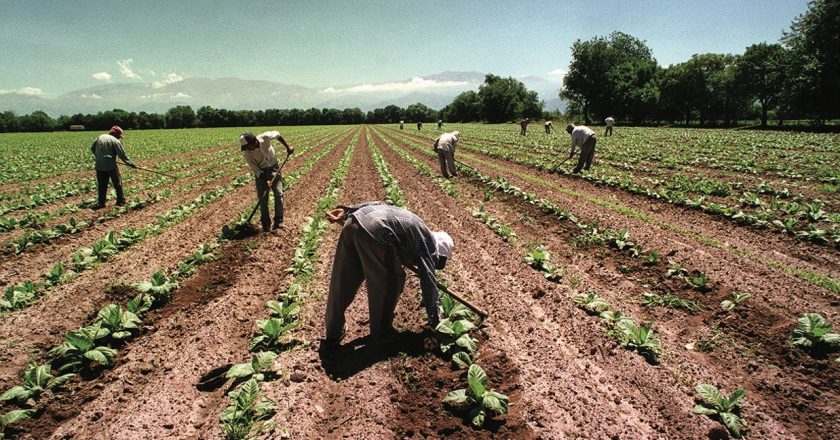 La Uatre obtuvo otro 17% de aumento en paritarias, con lo que la mejora interanual total es de 104%