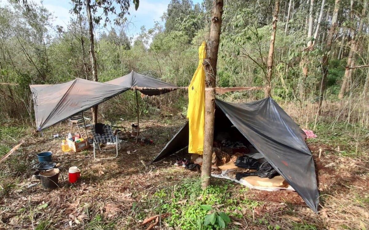 Detectaron 60 trabajadores en condiciones de explotación laboral, entre ellos 15 menores, en plantaciones de yerba de Misiones