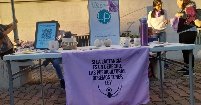 Puericultoras se concentraron frente al Congreso para pedir que se regule su profesión