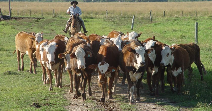 La Uatre acordó un aumento paritario trimestral del 26% retroactivo a julio