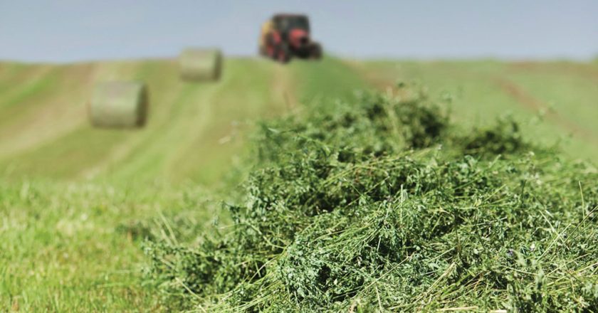 Con 3 mil millones de pesos para su financiación, lanzan nueva edición del programa de apoyo a cooperativas agroindustriales