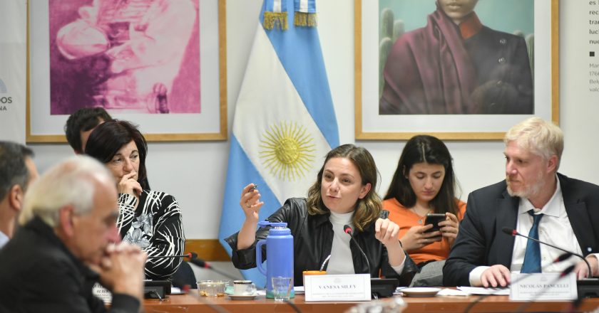 Vanesa Siley: “No es culpa de los derechos laborales que no haya trabajo, sino del modelo económico”