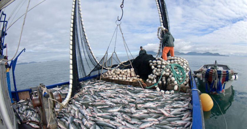 La Industria pesquera hace punta de lanza y busca incorporar a beneficiarios de planes sociales al empleo formal