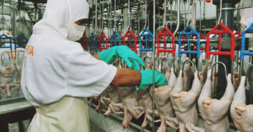 La UATRE revisa los salarios para el último trimestre y lleva el inicial de los avícolas a los 260 mil pesos