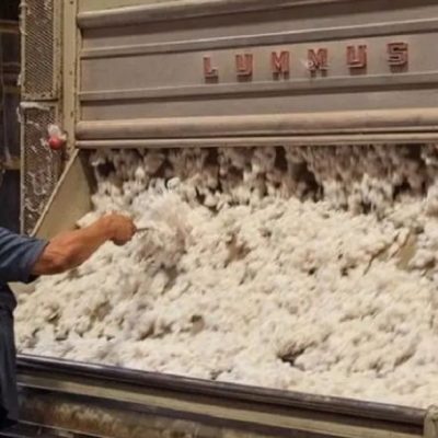 Los desmotadores de algodón cerraron la paritaria 2026 con un incremento del 44,5% y un salario que supera los $2,1 millones