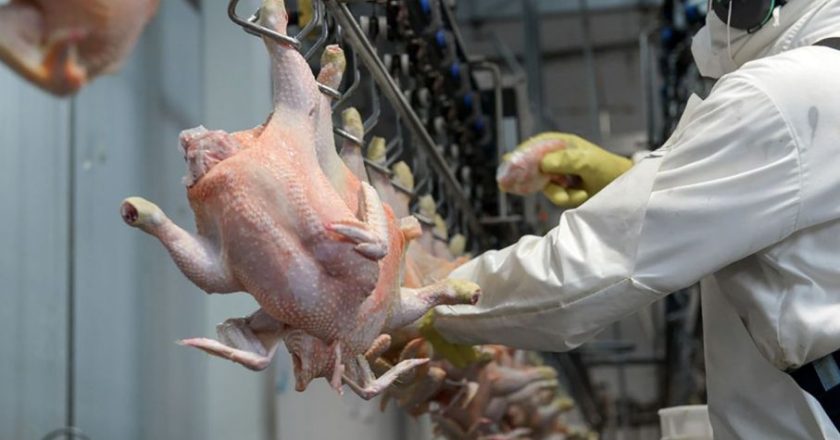 Paritaria avícola: La Federación de la Carne logró un 71% de aumento trimestral y acumula 131,8% en nueve meses