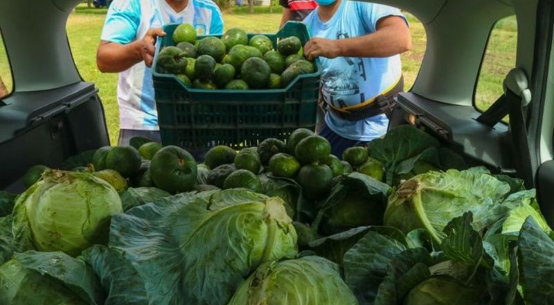 Chubut implementa un programa de producción frutihortícola para mujeres privadas de la libertad