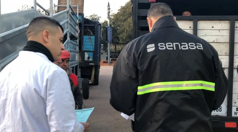 Trabajo dictó conciliación obligatoria ante el anuncio de paro de ATE en SENASA y el gremio de estatales va a acatar con condiciones