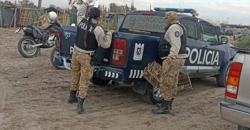 Rescataron a 25 personas que trabajaban en un campo mendocino en condiciones de explotación laboral