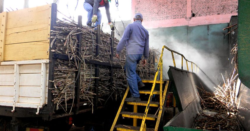 Malo: confirman que por tercer año consecutivo no habrá zafra cañera en Misiones