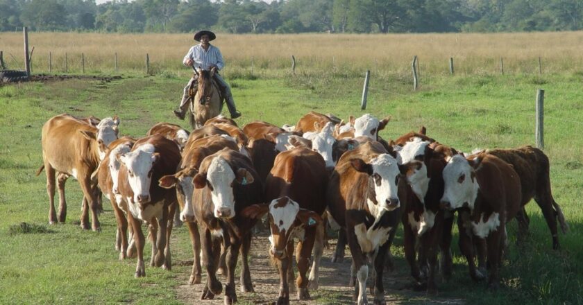 Se aprobó el aumento de la prestación por desempleo para los trabajadores rurales