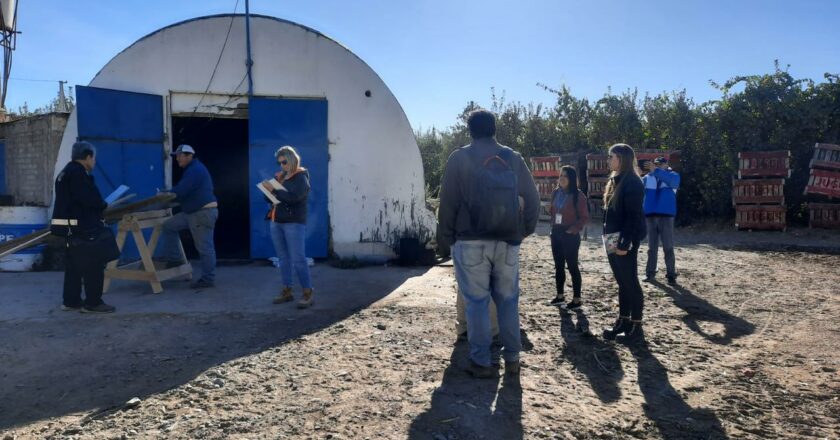 Trata laboral en Neuquén: La AFIP desarticuló una finca en la que sometían a 15 trabajadores a condiciones inhumanas