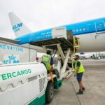 La Federación Internacional del Transporte ITF respaldó el rechazo sindical a la privatización de Intercargo