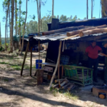Trata de personas en el campo: detectaron a más de 750 trabajadores rurales en situación de explotación en 182 establecimientos