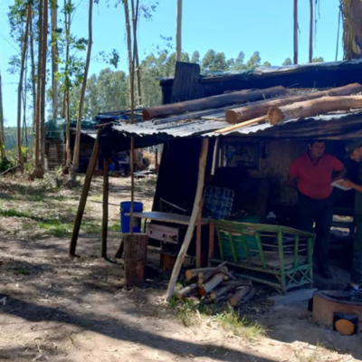 Trata de personas en el campo: detectaron a más de 750 trabajadores rurales en situación de explotación en 182 establecimientos