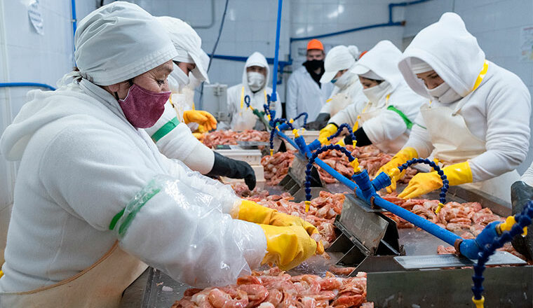 Crisis en el Puerto de Mar del Plata: denuncian que 200 empleados dejaron sus trabajos en la industria del pescado por la caída de la actividad
