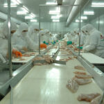 Granja Tres Arroyos profundiza su crisis: pierde productores, cae la faena y acumula más de $26.000 millones en cheques rechazados