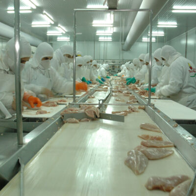 Granja Tres Arroyos, el mayor frigorífico avícola del país, al borde del cierre por la importación de pollo brasileño: 450 puestos de trabajo en riesgo