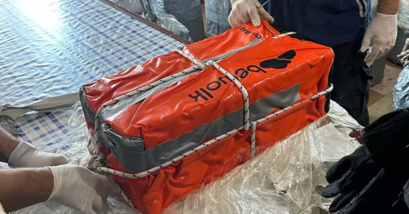 La desregulación libertaria eliminó un puesto clave en los buques que podría haber detectado la presencia de cocaína en el puerto de San Lorenzo