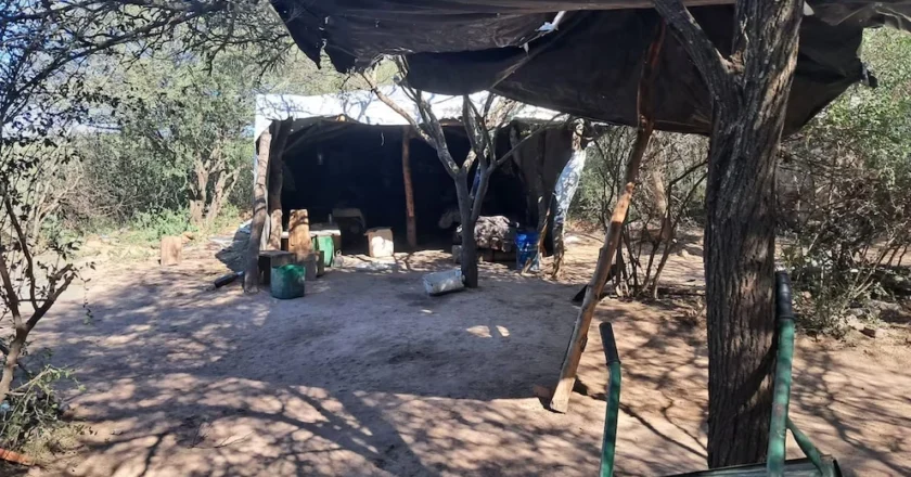 Más trata de personas en campos: trabajaban sin agua potable ni baño, dormían sobre pallets, ganaban 150.000 pesos al mes y les descontaban la comida