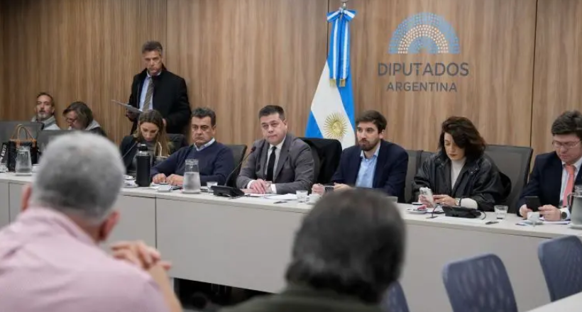 La Marina Mercante en debate: gremios y referentes del sector naval analizaron el DNU 340/25 en el Congreso