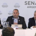 Mariano Vilar le pidió a los Senadores que rechacen el Decreto de desregulación de la Marina: «Merecemos un país fuerte con una Marina Mercante al servicio de los argentinos»