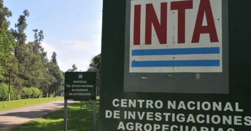 La Justicia de Chubut le da otro golpe al plan libertario y avanza en otra causa contra el Decreto que dispone el desguace del INTA
