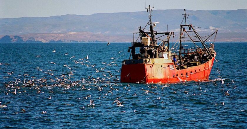En medio de una crisis histórica, la pesca se hundió 82,8% en julio y ya generó despidos y suspensiones para más de 600 trabajadores