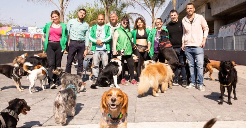 Con el empuje de los dipusindicalistas, trabajadores caninos insisten para que se trate la ley que regule sus derechos