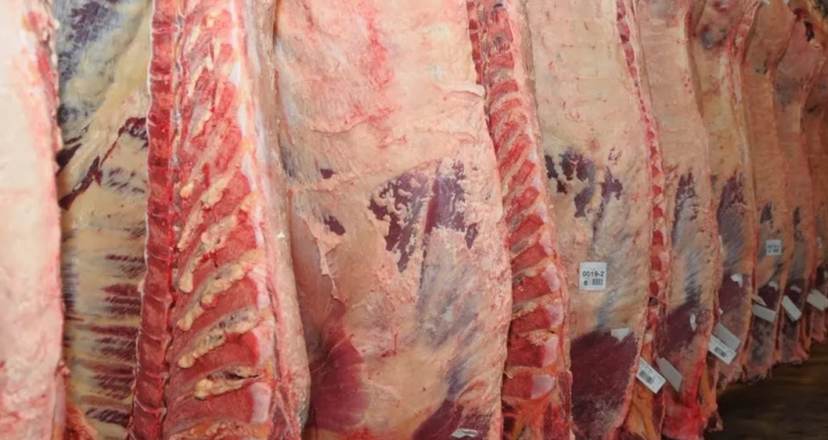 En un accidente laboral, un trabajador murió en el frigorífico de Gorina mientras realizaba tareas de desposte