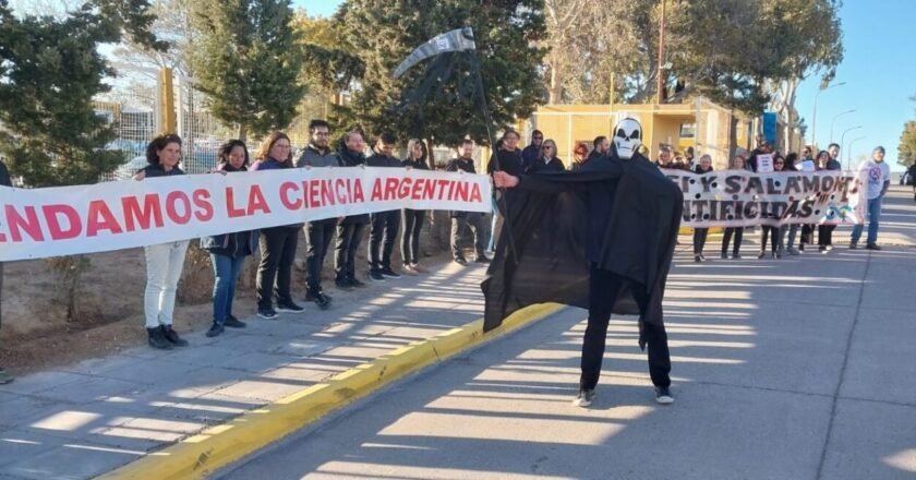 Denuncian «persecución» del presidente del CONICET por abrir un sumario a un grupo de científicos que protestaron contra el ajuste de Milei